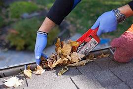Gutter Cleaning