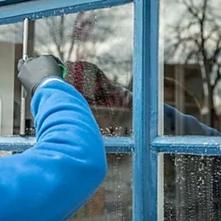 Traditional Window Cleaning
